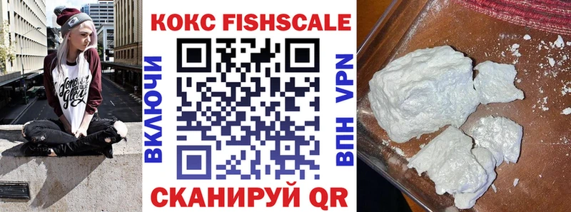 Купить закладки  Елабуга  COCAIN FishScale 