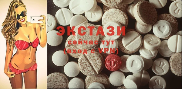 индика Горнозаводск