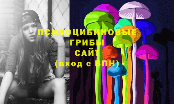 кристаллы Гусь-Хрустальный