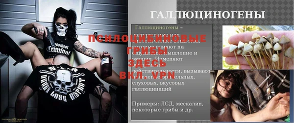 индика Горнозаводск