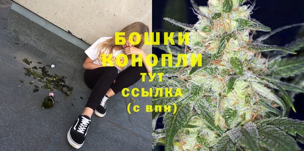 кристаллы Гусь-Хрустальный