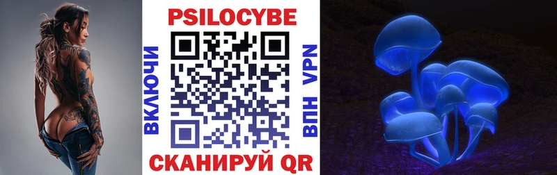 Купить закладки  Елабуга  Галлюциногенные грибы GOLDEN TEACHER 